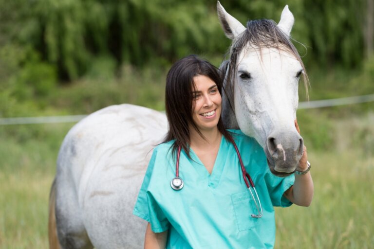 Enfermedades por inmunodeficiencia en caballos