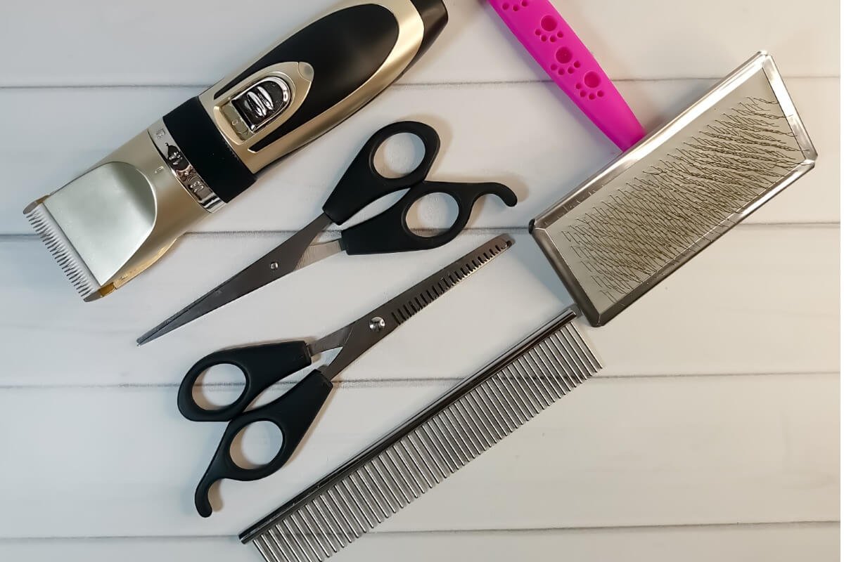 Un insieme di strumenti da toelettature per animali domestici.
