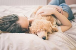 Consejos prácticos para afrontar la muerte de tu perro