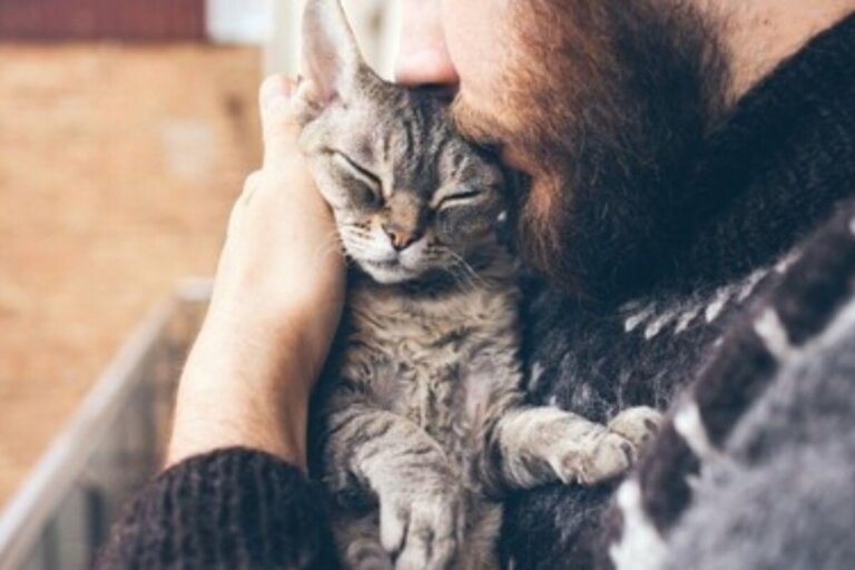 ¿Sabes si tu gato es perfecto para ti?