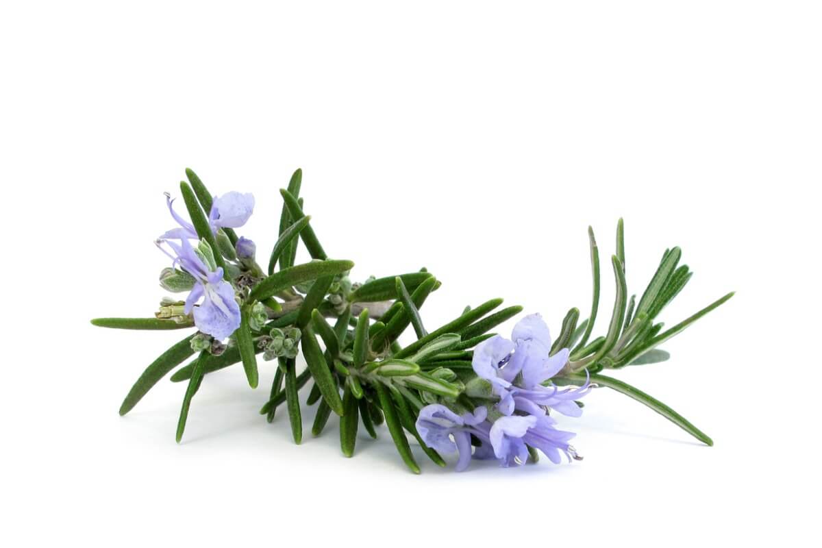 Some rosemary.