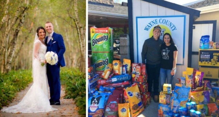Cambiaron regalos de boda por alimento para refugio de animales