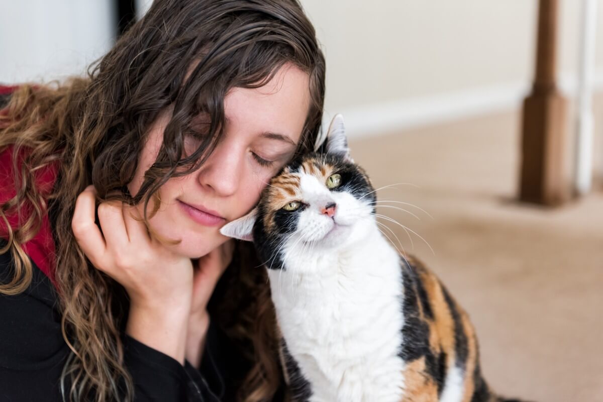 Una mujer frota la cabeza de su gato.