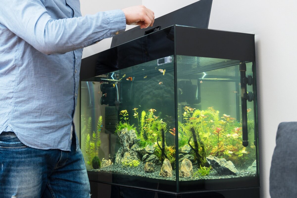 A fish tank.