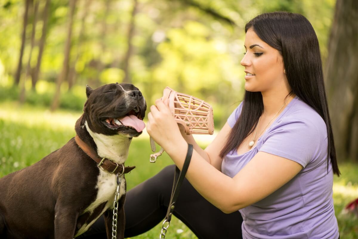 Una mujer le pone un bozal a un perro. 