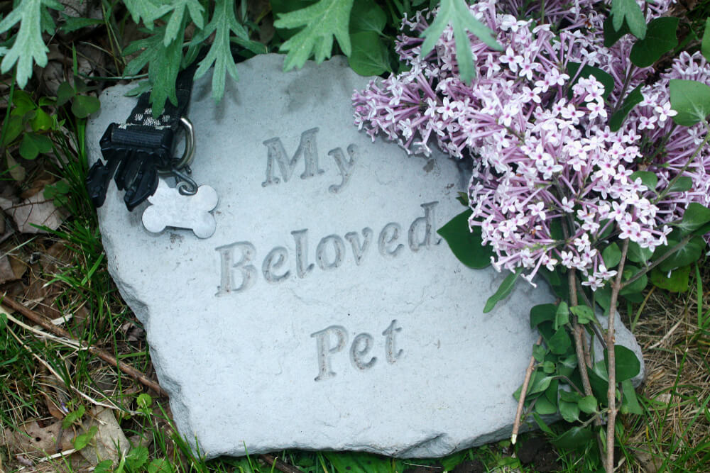 Lapida de una mascota