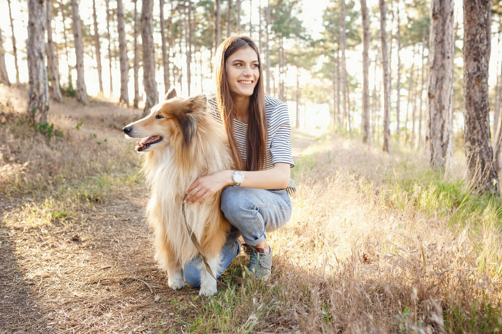 Perro collie feliz junto a su amo