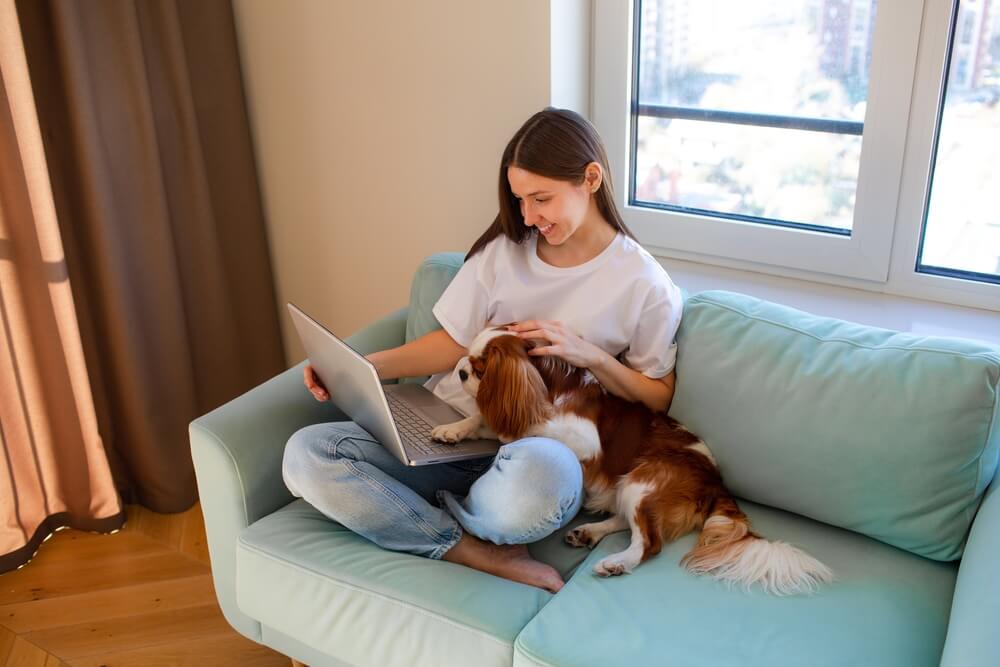 Cavalier King Charles Spaniel junto a su dueña
