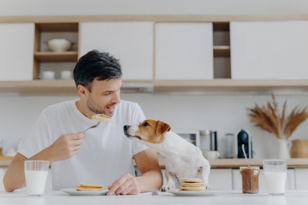 ¿Por qué mi perro no come si no estoy con él?