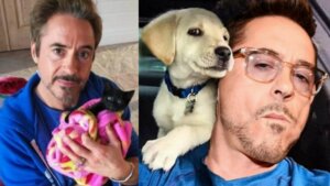 Robert Downey confiesa que no puede vivir sin los animales que rescató