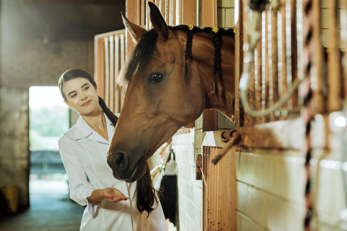 Klinisk etiologi för hästar.