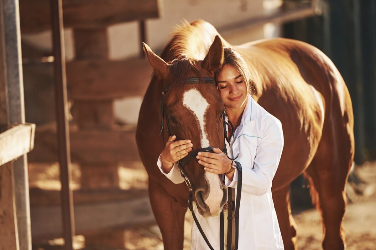 ¿Sabes lo que es la estomatitis vesicular equina?