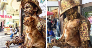 Hombre y su perrita son actores en las calles de Brasil