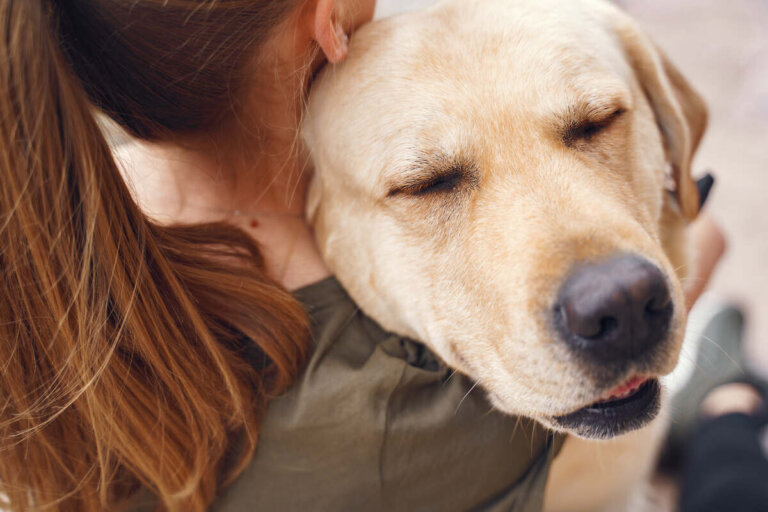 30 mensajes de apoyo para la pérdida de una mascota