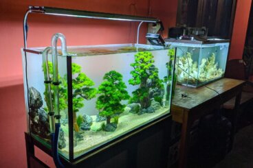 Mi acuario pierde agua: ¿a qué se debe?