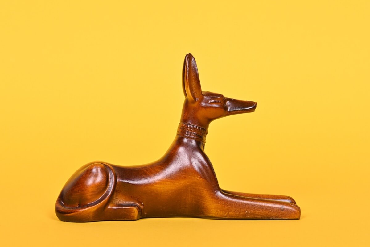 Un perro egipcio sobre un fondo amarillo.