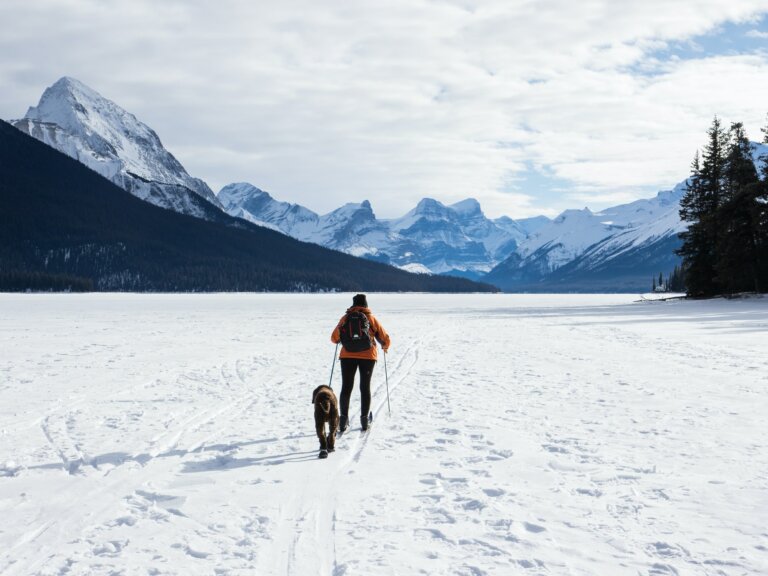 La eTA y otros trámites que necesitas para viajar a Canadá con tu mascota
