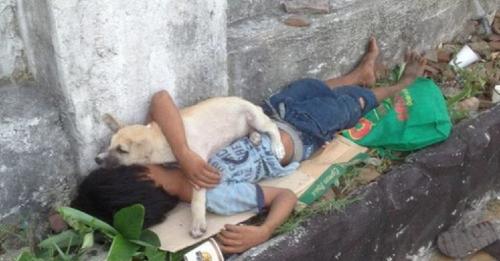 Niño en situación de calle adopta a un perrito sin hogar, se acurrucan juntos para no sentirse solos