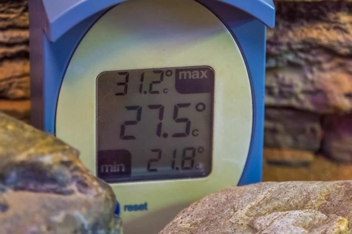 Un termómetro digital en un terrario.