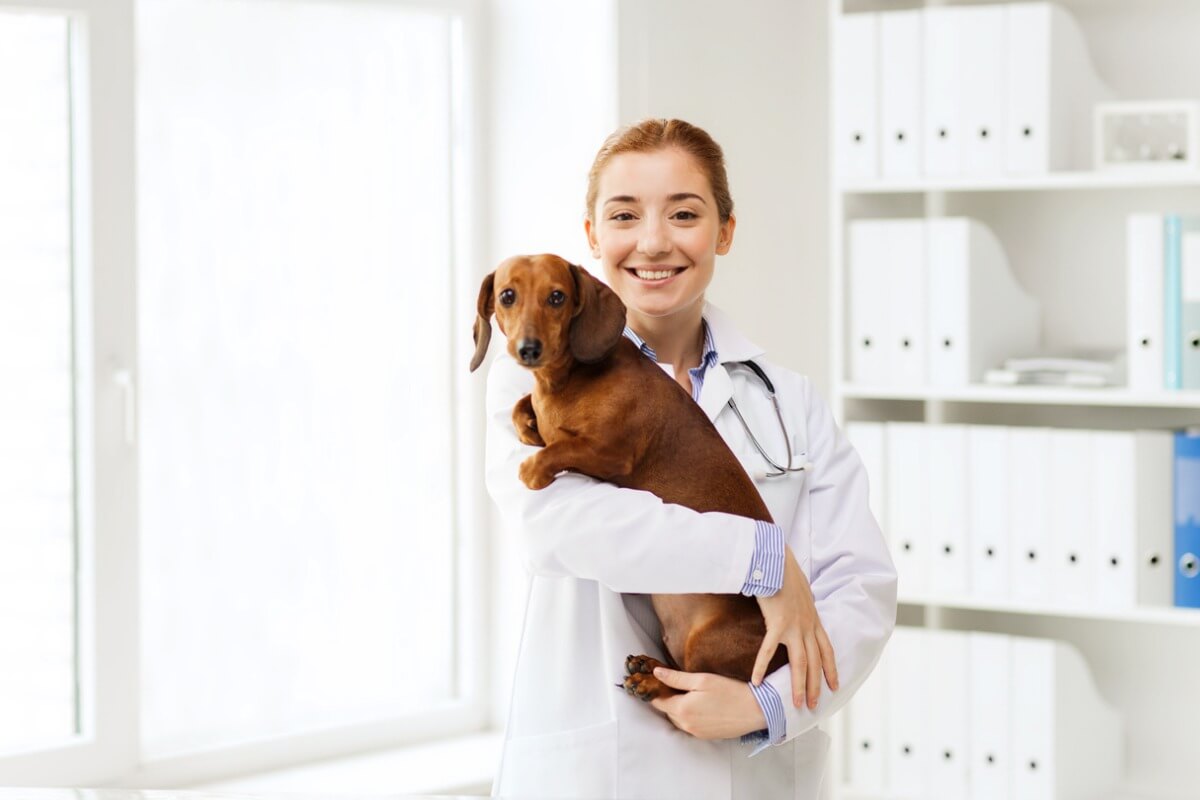 En veterinær med en hund.
