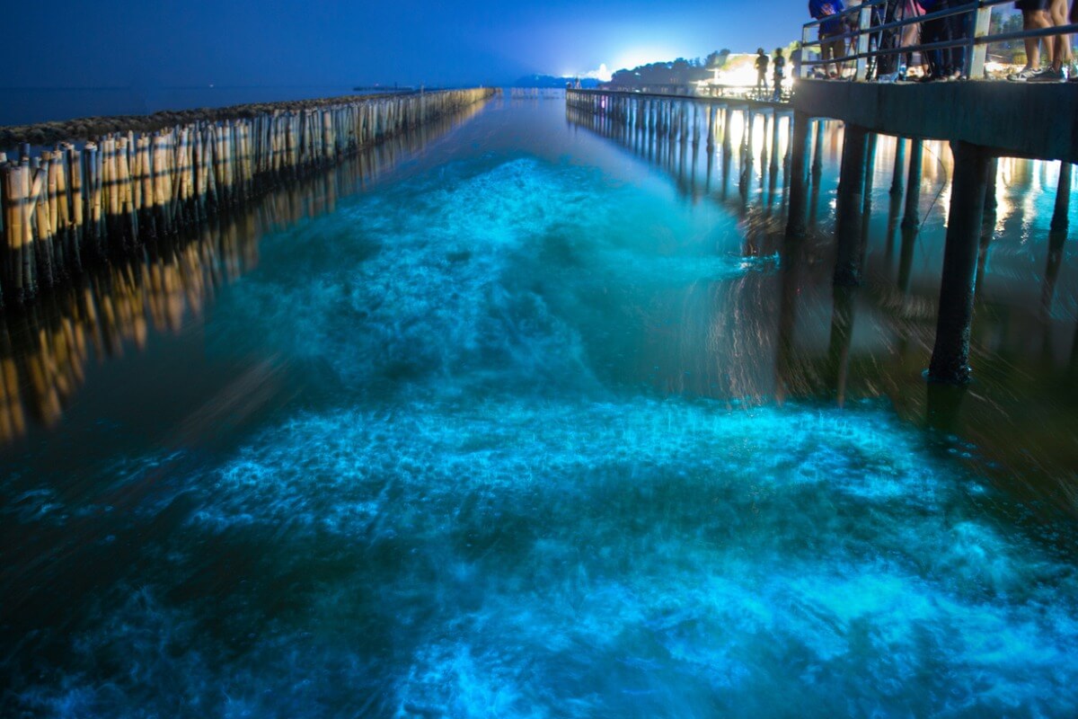 De aanwezigheid van bioluminescentie door plankton en algen aan de kust