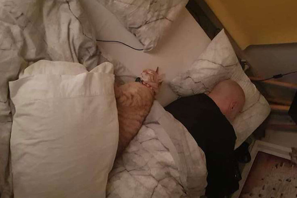 gato entra a dormir todas los noches con su segunda familia.