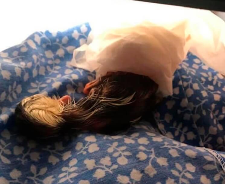 Huevo roto luego que salió de su nido