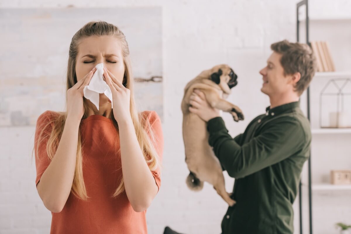 10 razas de perros ideales para alérgicos