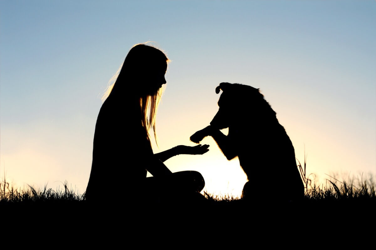 ¿Existen remedios caseros para tratar la epilepsia en perros?