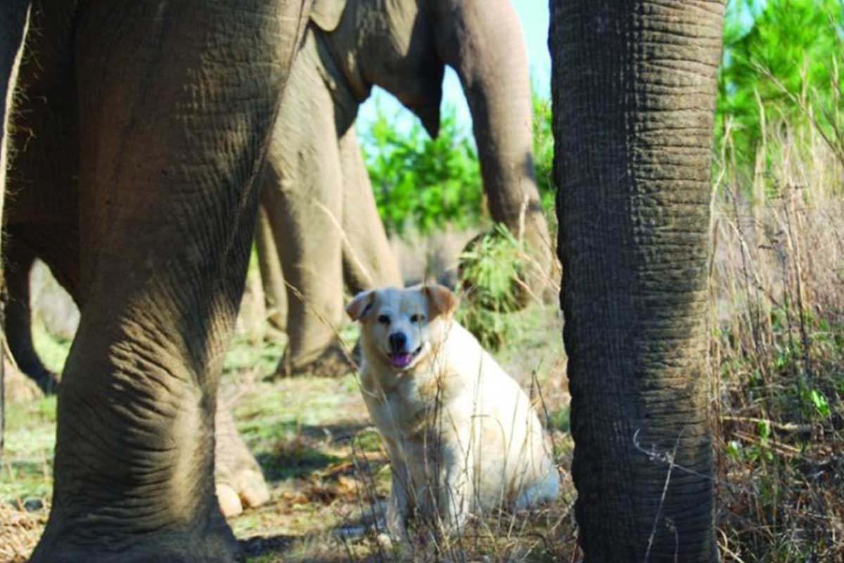 Tara nunca volvió a ser la misma.