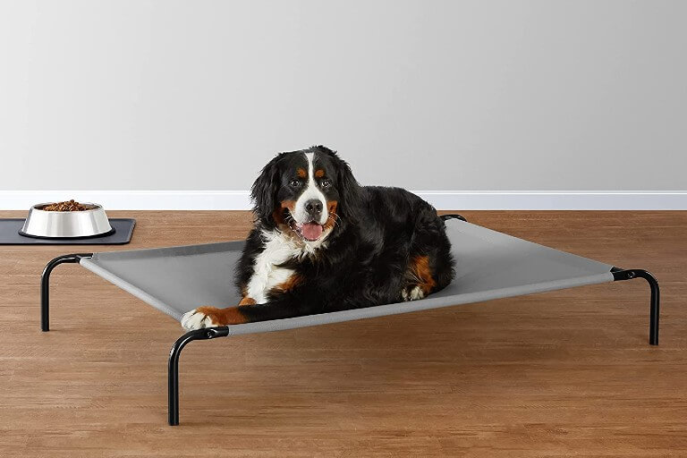 sıcaktan bunalmış yatan bir köpek