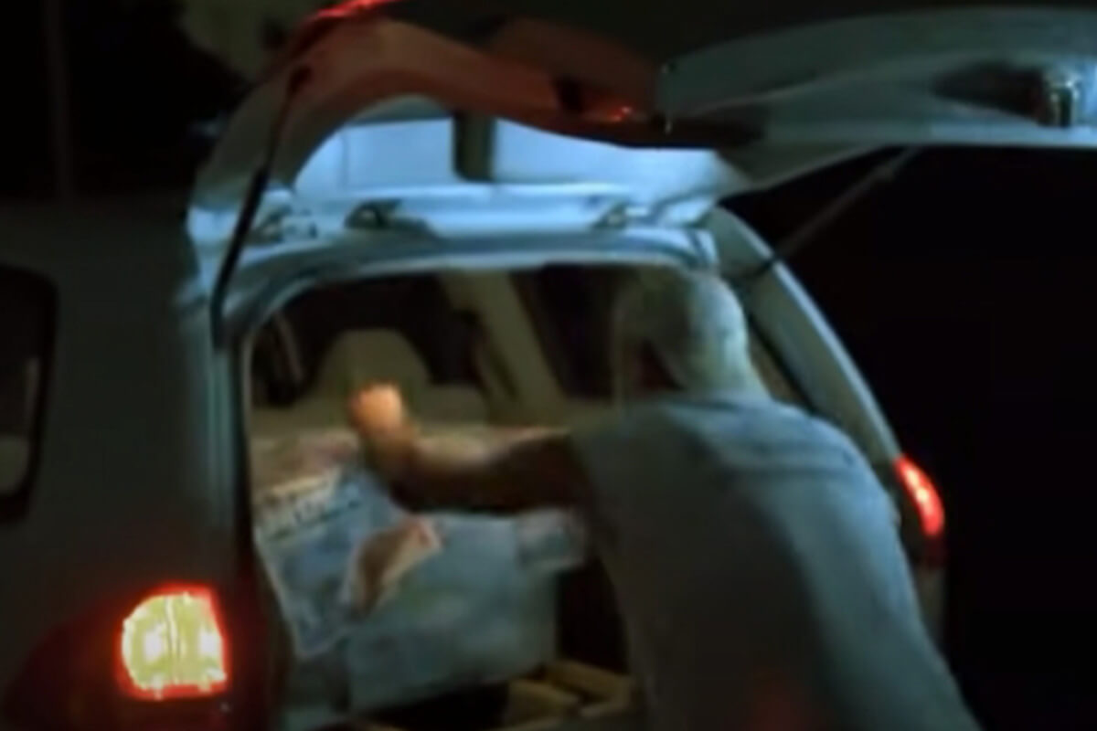 rescate del monito que no confiaba en nadie