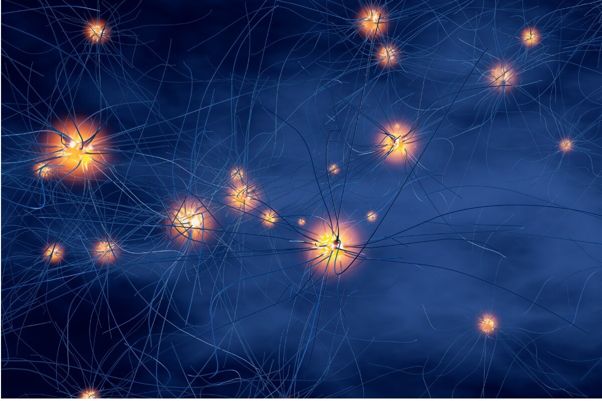 Una sinapsis neuronal en un perro.