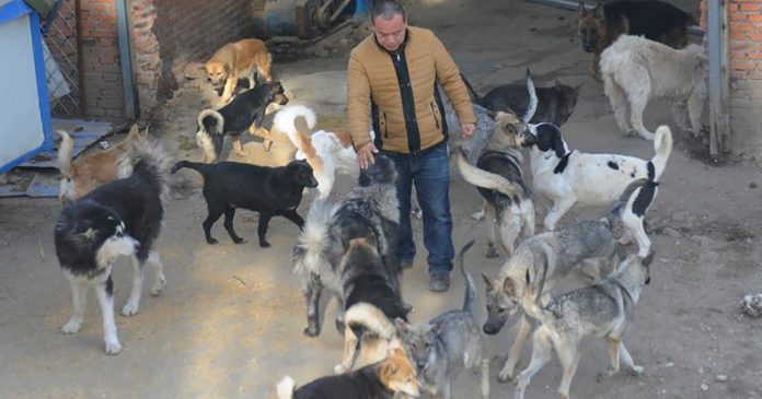 Millonario invierte toda su fortuna rescatando miles de perros del mercado de carne