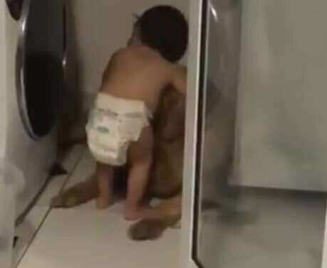 Bebé se acerca al ver a su perrito en una esquina muy asustado a causa de los truenos
