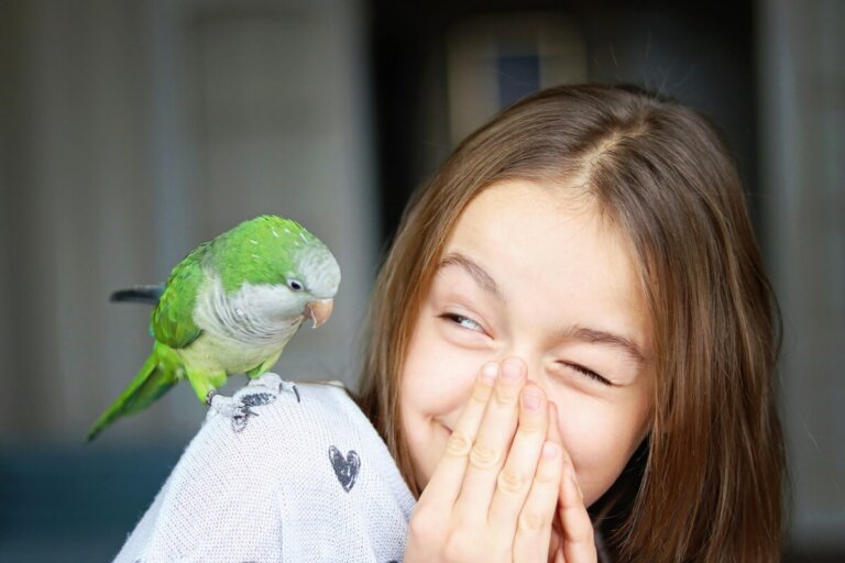 Los 12 mejores pájaros domésticos