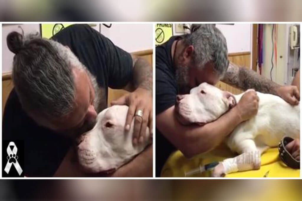 Hombre rompe a llorar al tener que despedirse de su perro con el que vivió por 14 años