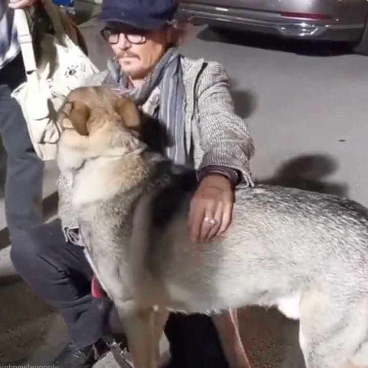 Johnny Depp con el perrito