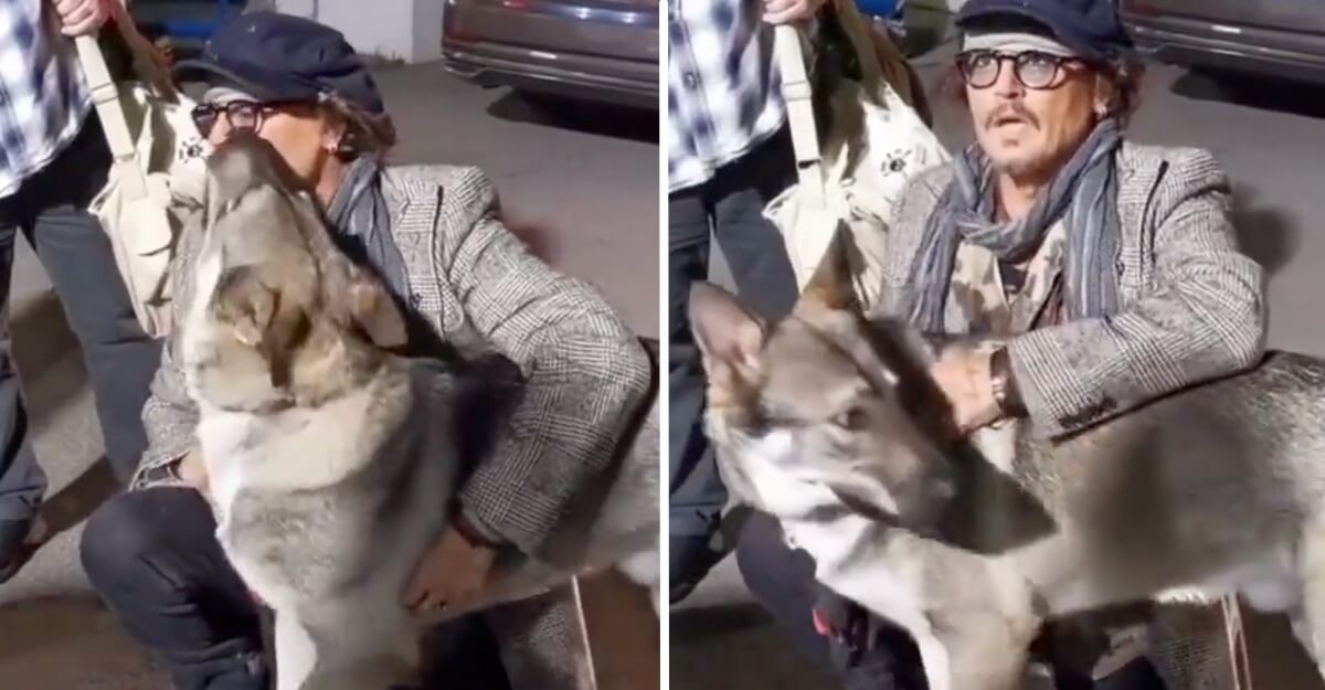 “Me lo puedo quedar”: vídeo de Johnny Depp jugando con un perrito callejero