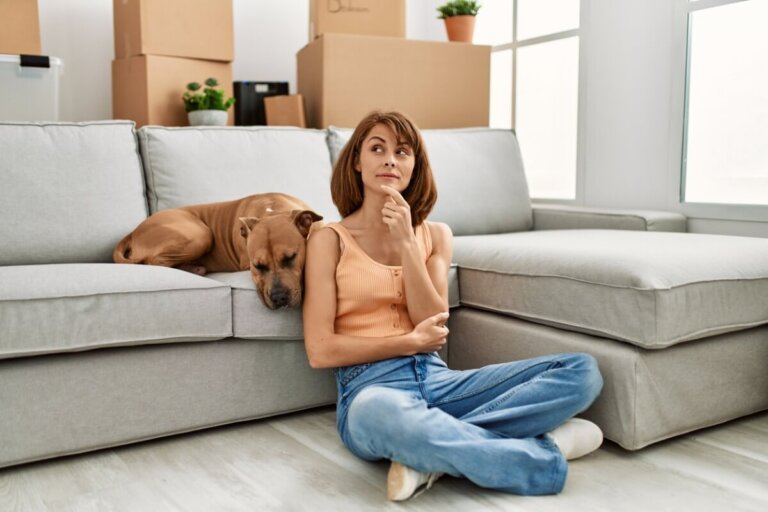 51 nombres para mascotas de Harry Potter