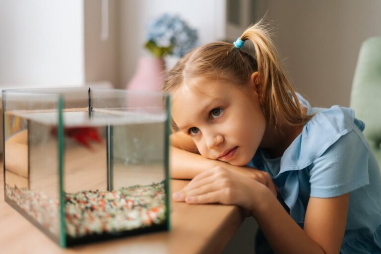 9 peces para un acuario de 10 litros