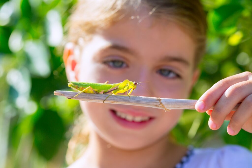 Una niña que observa un insecto.