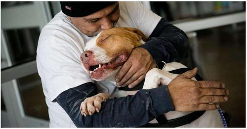 Perrito es feliz de nuevo y abraza a su dueño tras haber cumplido su promesa de regresar por él al refugio