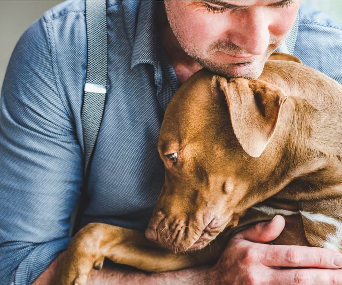 Câlin entre un chien et son maître.