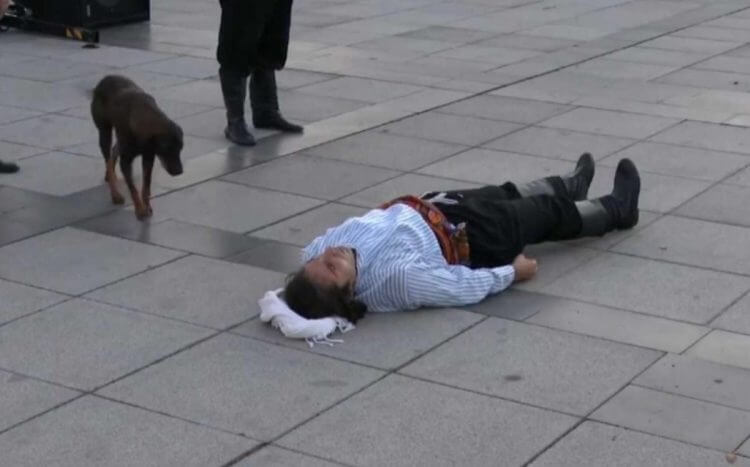 Perrito sin hogar corre a interrumpir una actuación para socorrer al actor que fingía estar herido