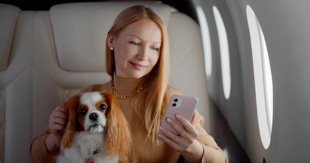 Perro junto en el avión junto a su dueña