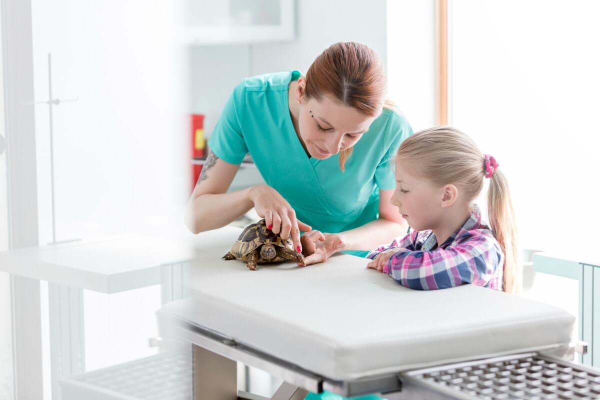 Una tortuga, una niña y una veterinaria.