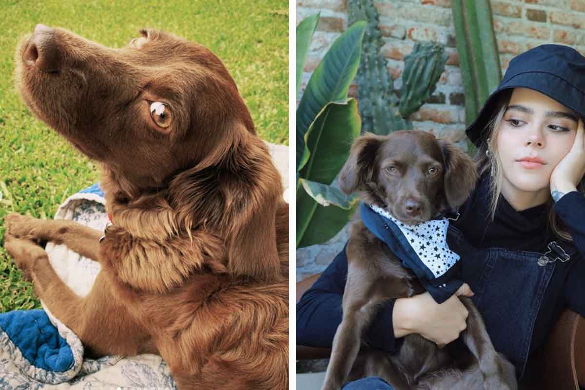 Yuya ama a su perrita rescatada de nombre Majo.