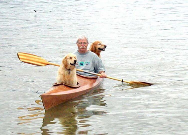 David et ses chiens sur leur kayak.