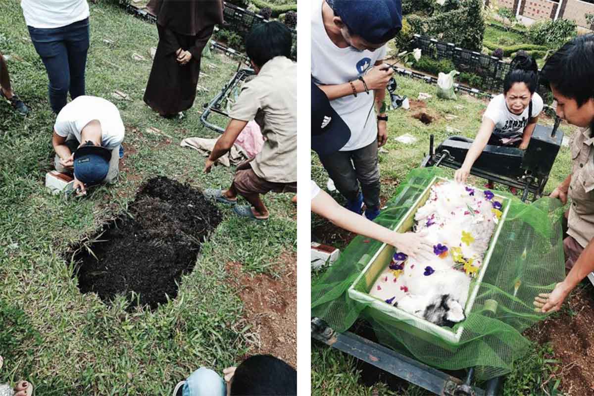 Enterrement de Shadow.